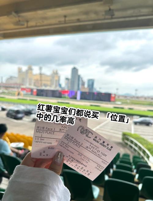 澳门马会正版资料免费查询与最新的澳门马会资料